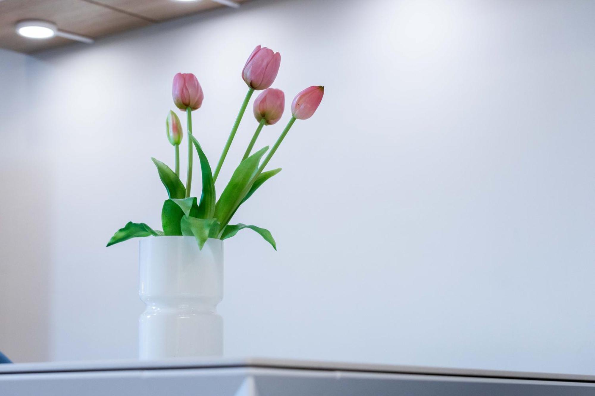 Luxury Apartment - Free Private - Parking Maestri Campionesi 16 밀라노 외부 사진